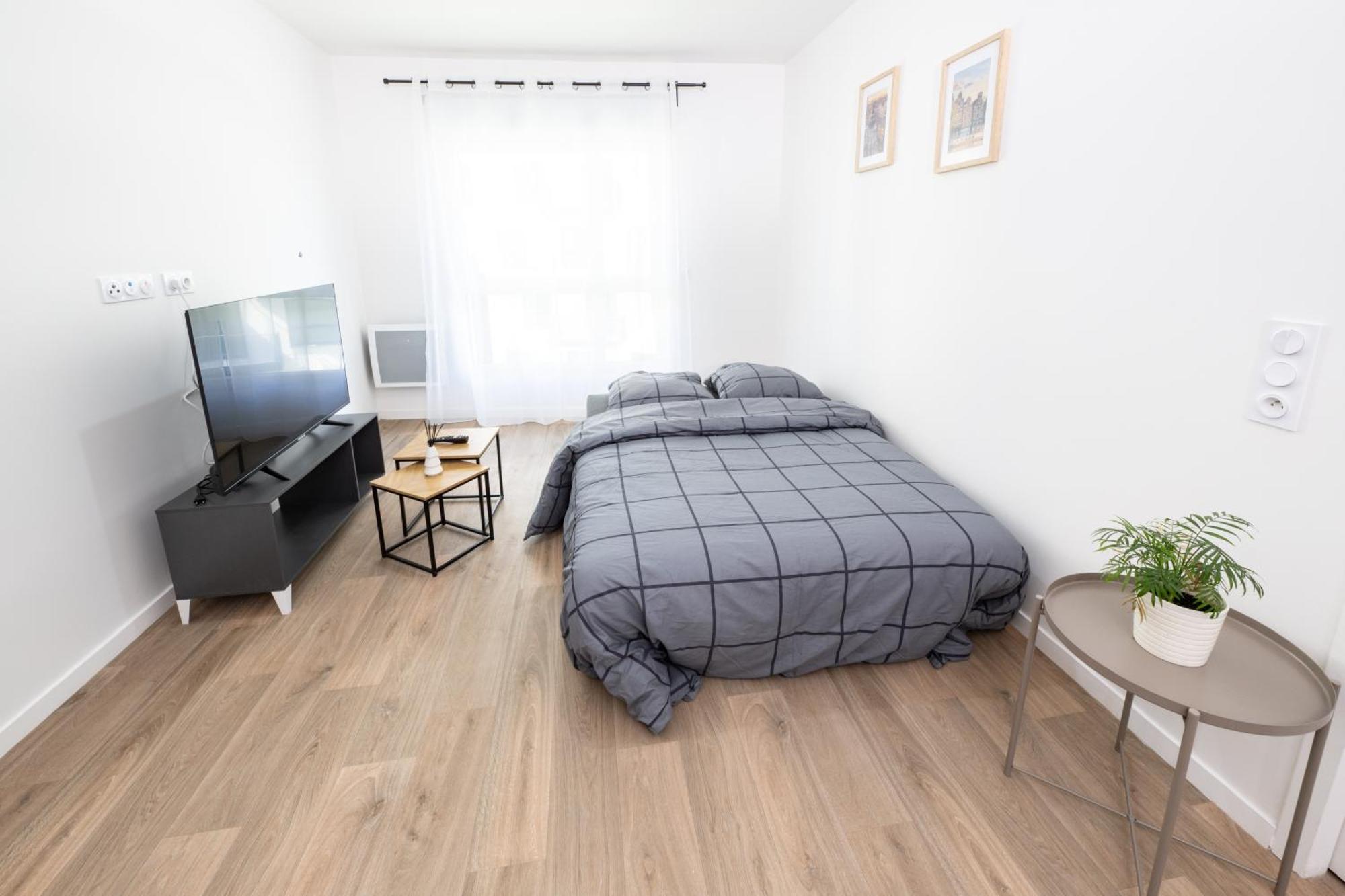 Appartement Massy Tgv - Rer B&c - Free Parking